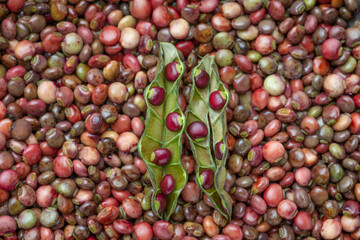 marketdetails-img