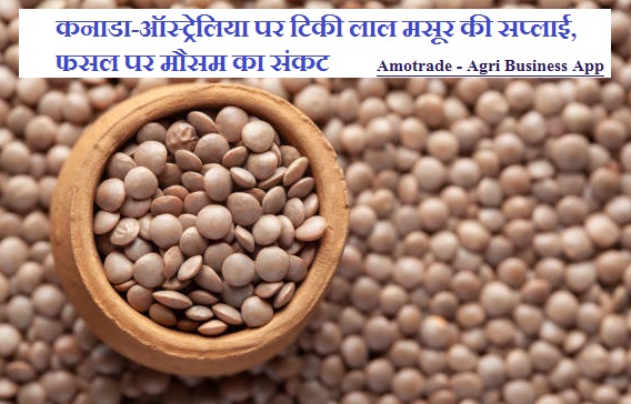 marketdetails-img