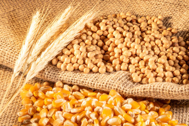 marketdetails-img