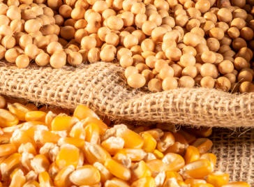 marketdetails-img